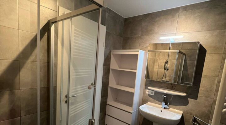 La salle de bain rénovée Ghibici Construction SARL